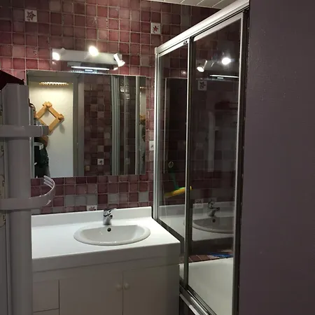 Cosy Face Aux Télécabines Les Deux Alpes