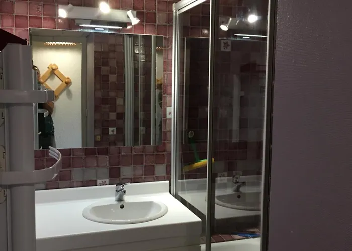 Cosy Face Aux Telecabines Les Deux Alpes